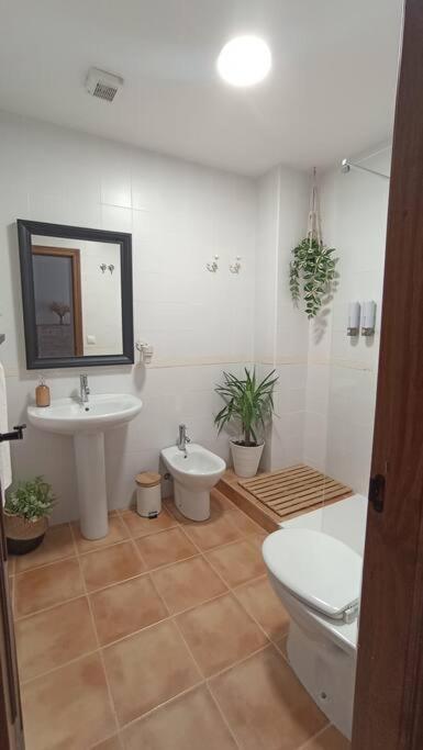 Azahares Apartamento Turistico El Bosque  Exterior foto