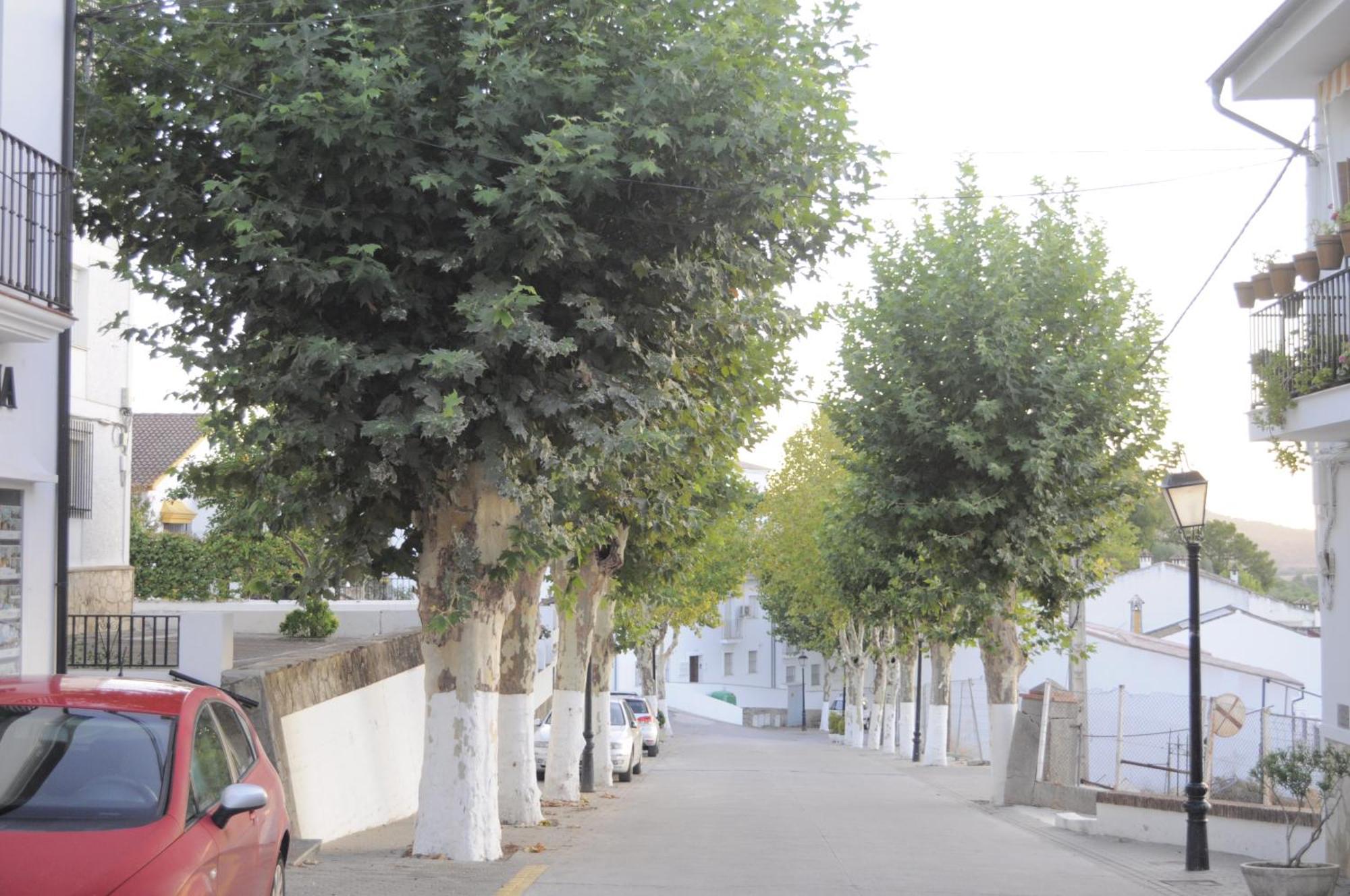 Azahares Apartamento Turistico El Bosque  Exterior foto
