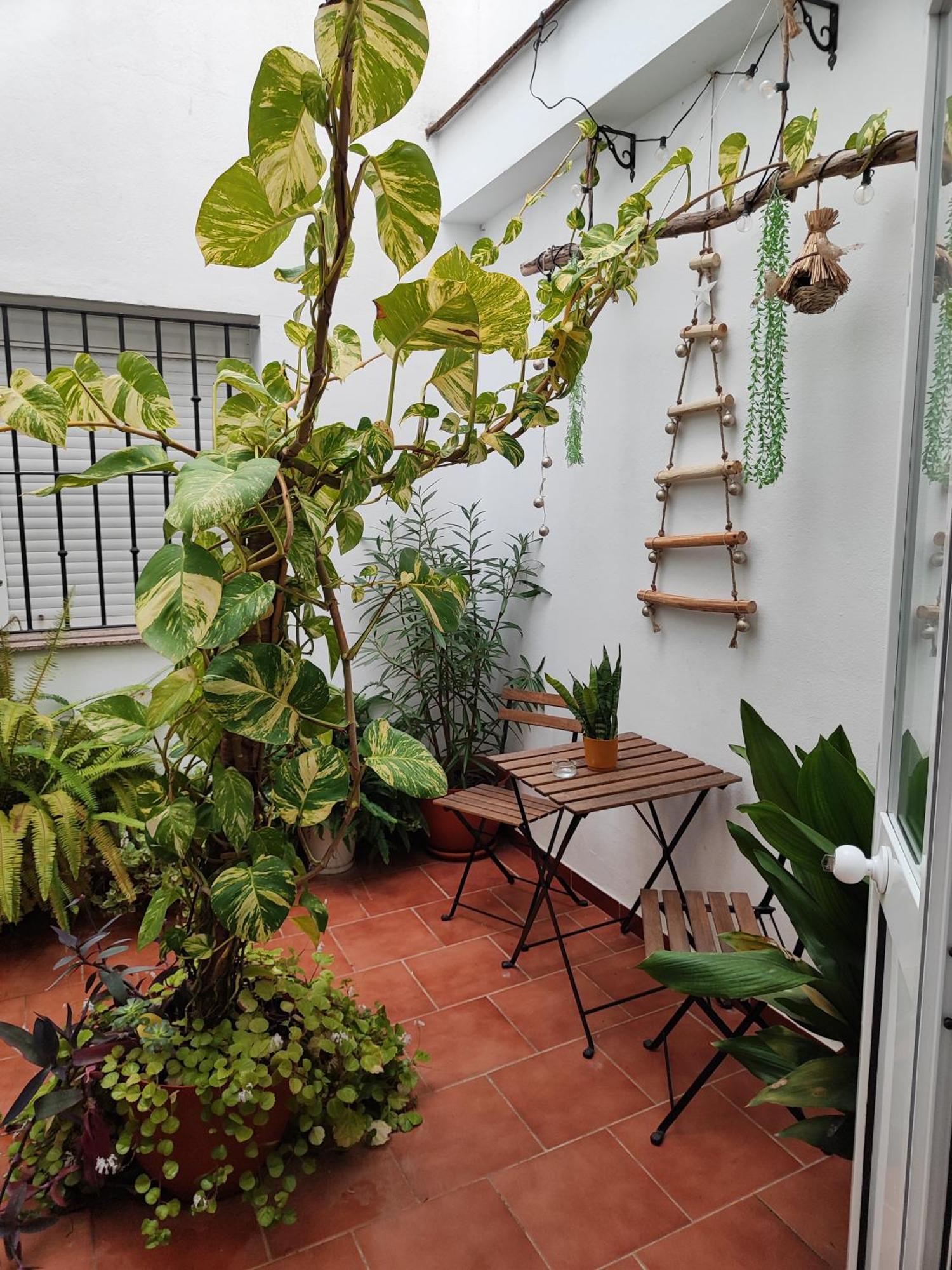 Azahares Apartamento Turistico El Bosque  Exterior foto